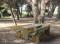 Mesas Navic: Mesa de pícnic de madera tratada Navic